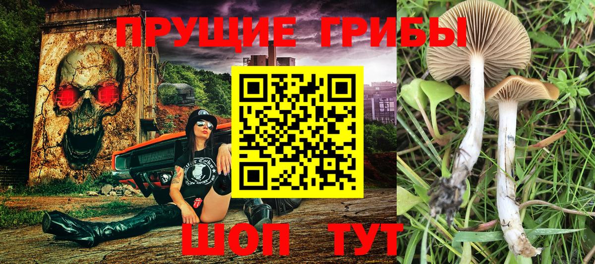 Псилоцибиновые грибы мухоморы Богородицк