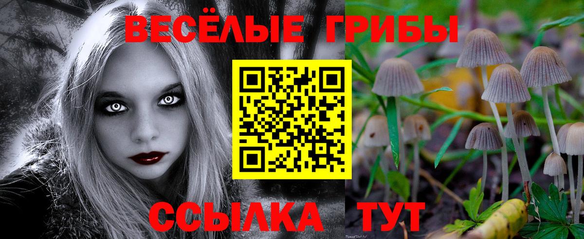 Галлюциногенные грибы мухоморы  Галлюциногенные грибы мицелий  Богородицк  Вход с VPN 